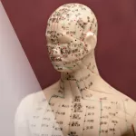 Meridian Theory: The Ancient Map of the Body
